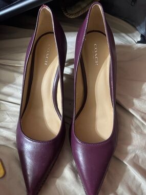 Coach Plum Pointed-Toe Leather Heels